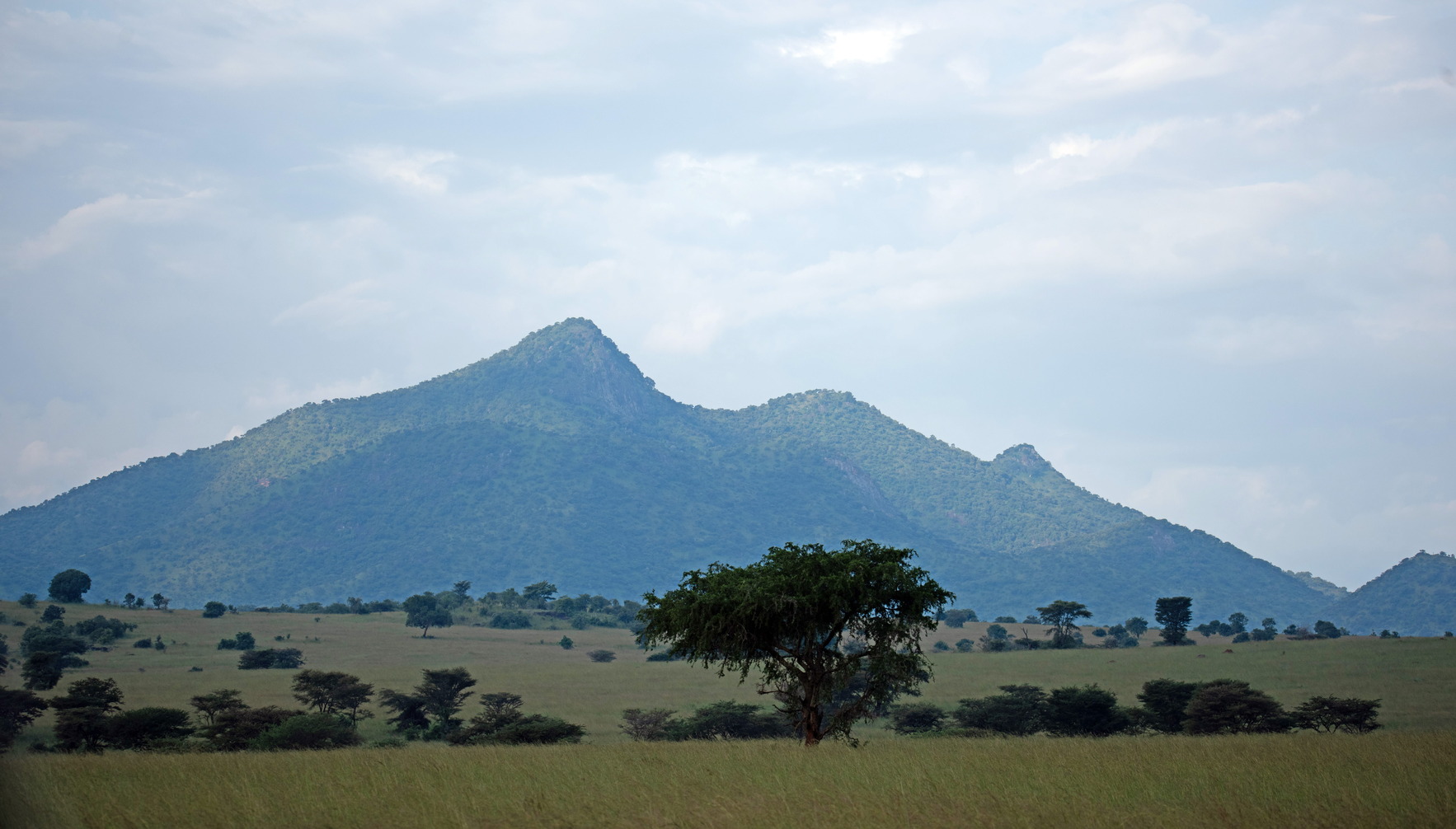 Kidepo Valley National Park
