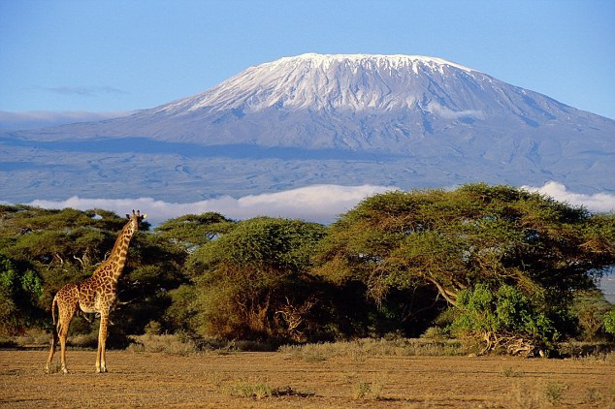 Kilimanjaro National Park