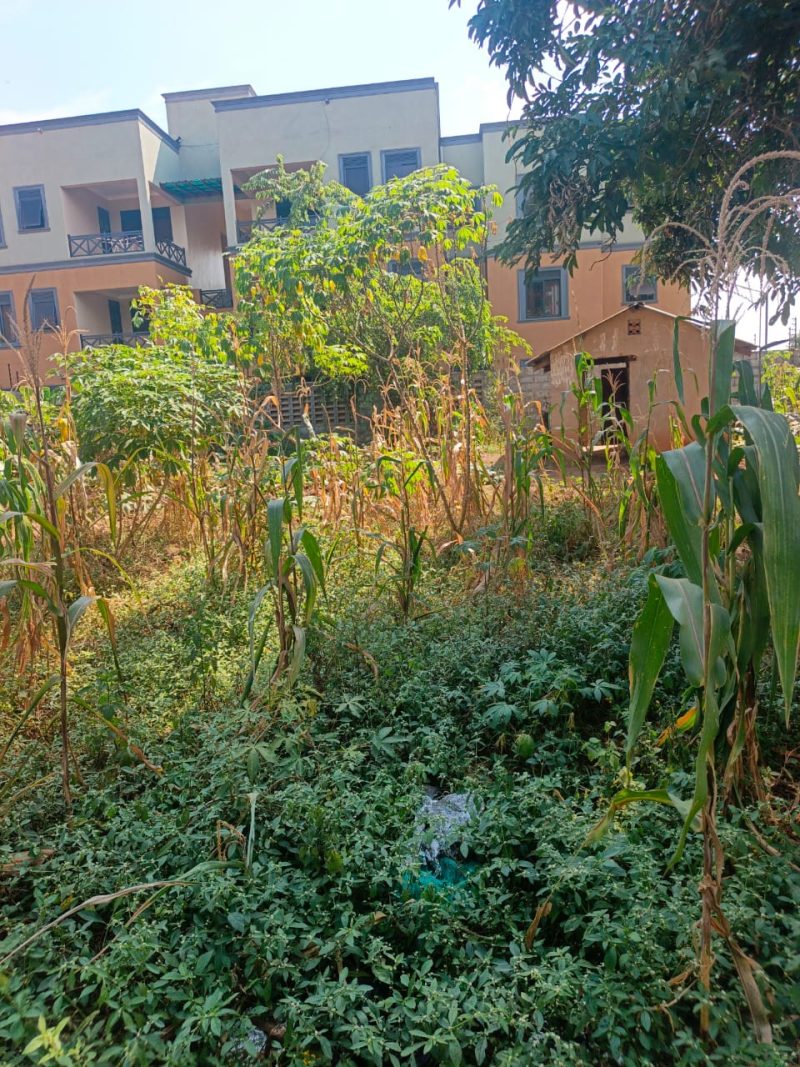 Land available for sale